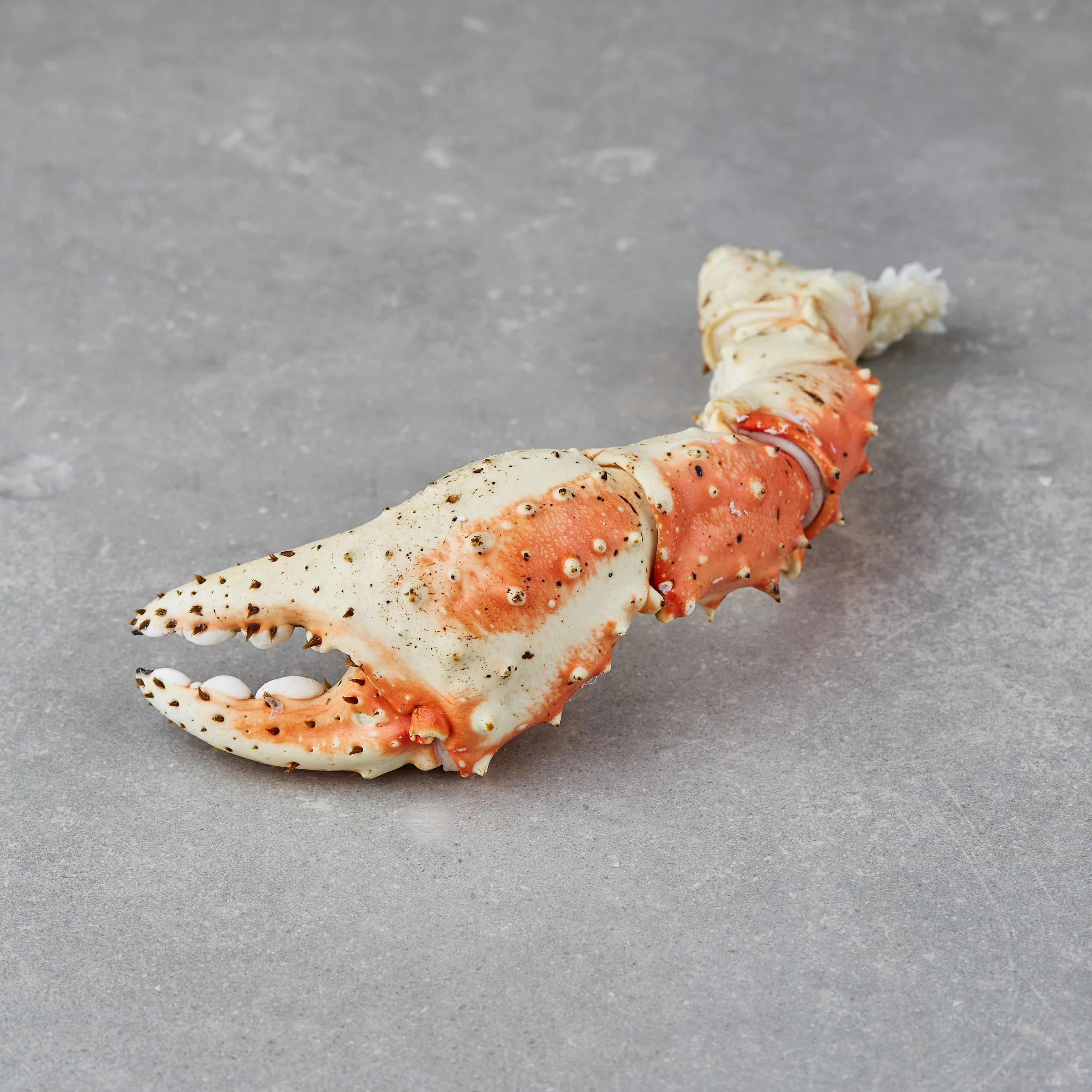 Kongekrabbe, kokt - Kamtsjatka