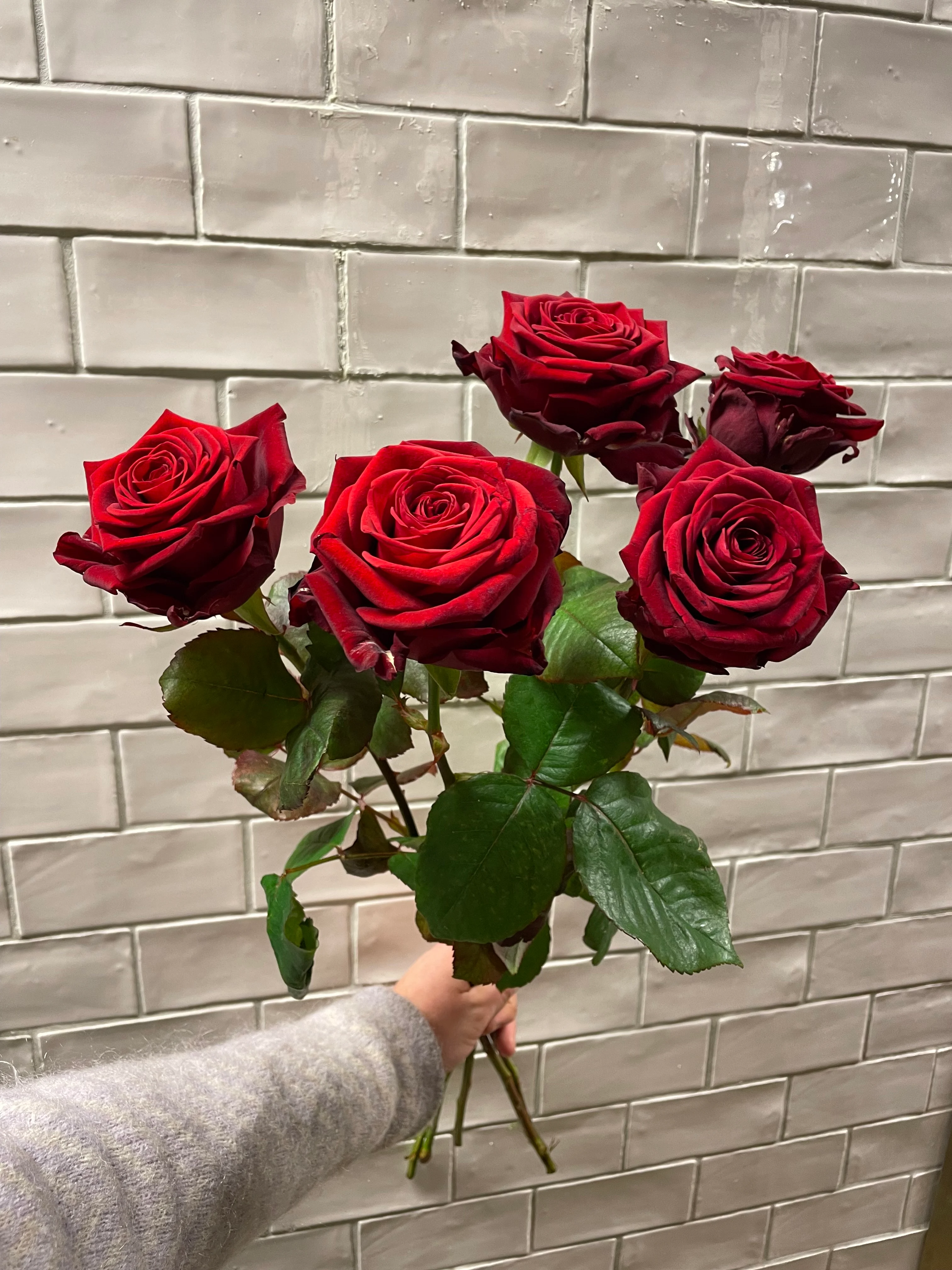 Eksklusive roser 🌹 langstilkede