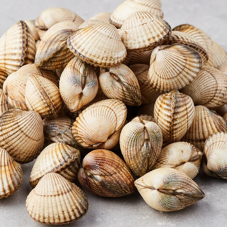 Hjerteskjell - Clams