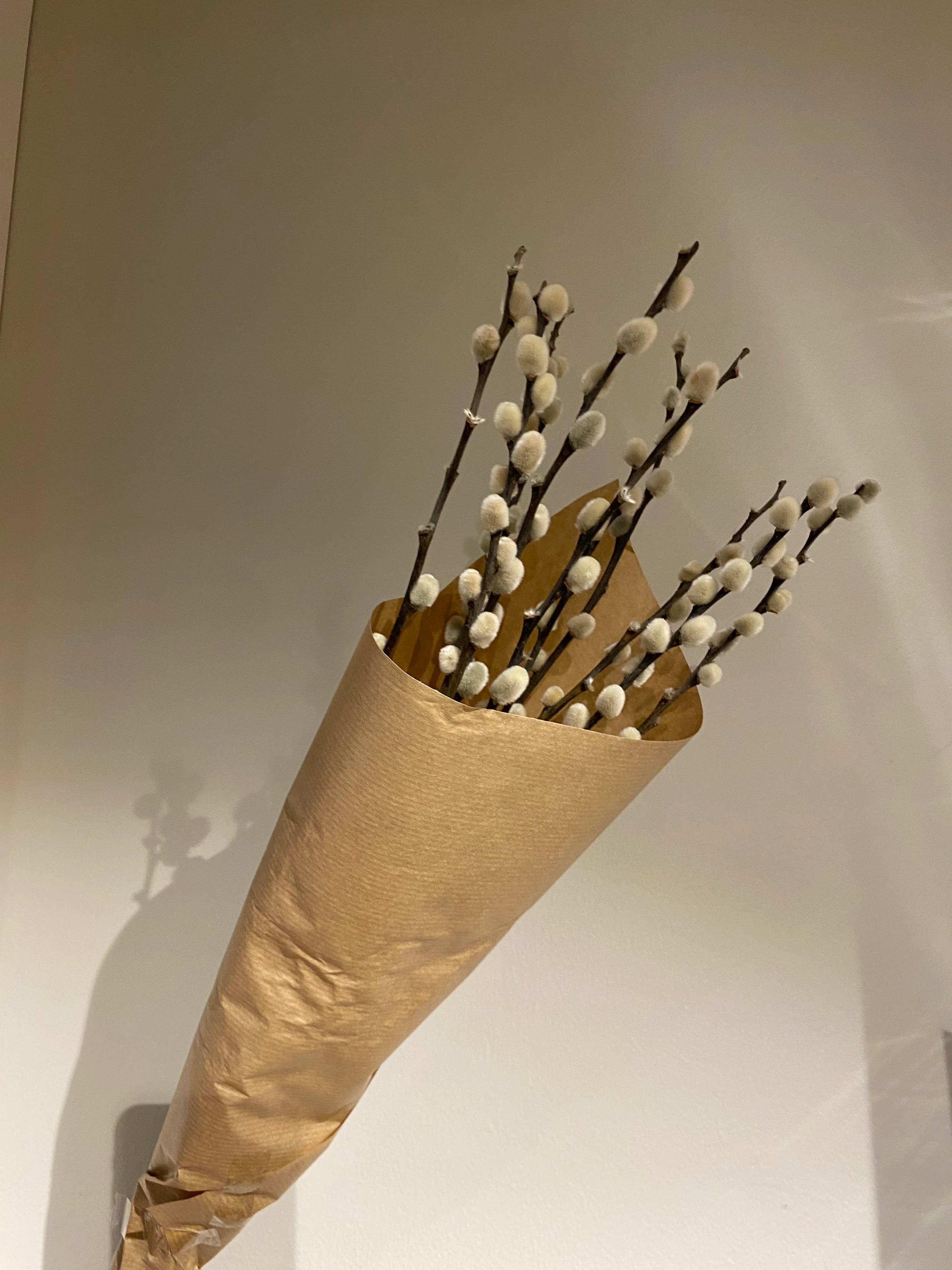 Gåsunger i bunt ☁️