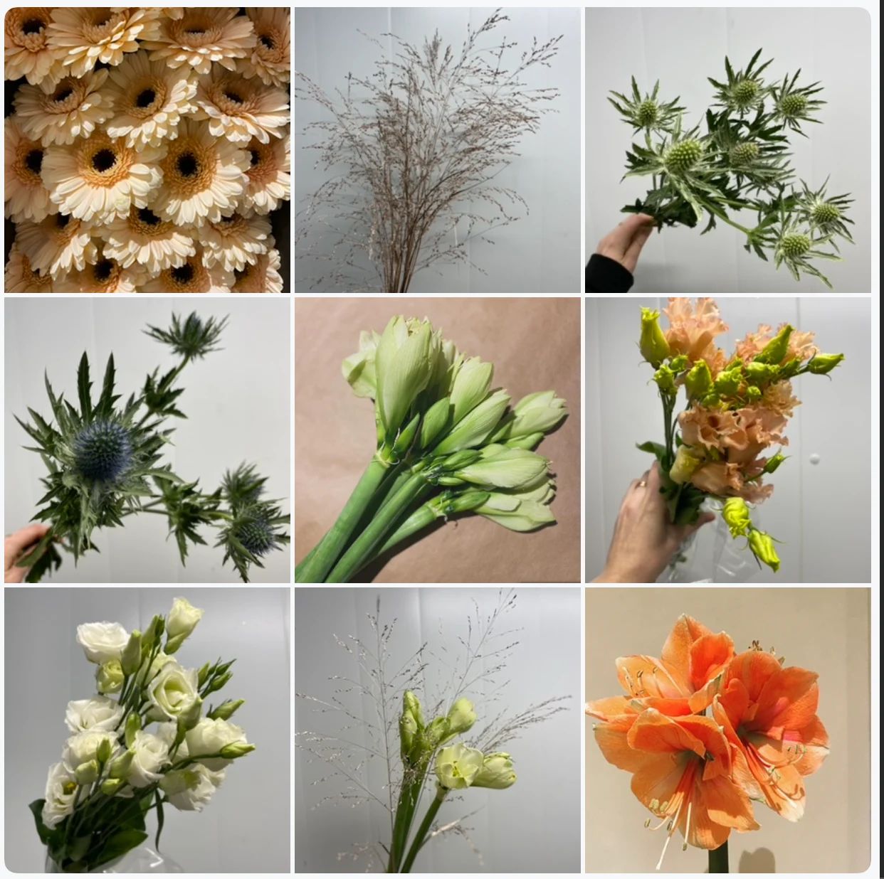 Nyttårsbøtte med blomster🪣💐✨