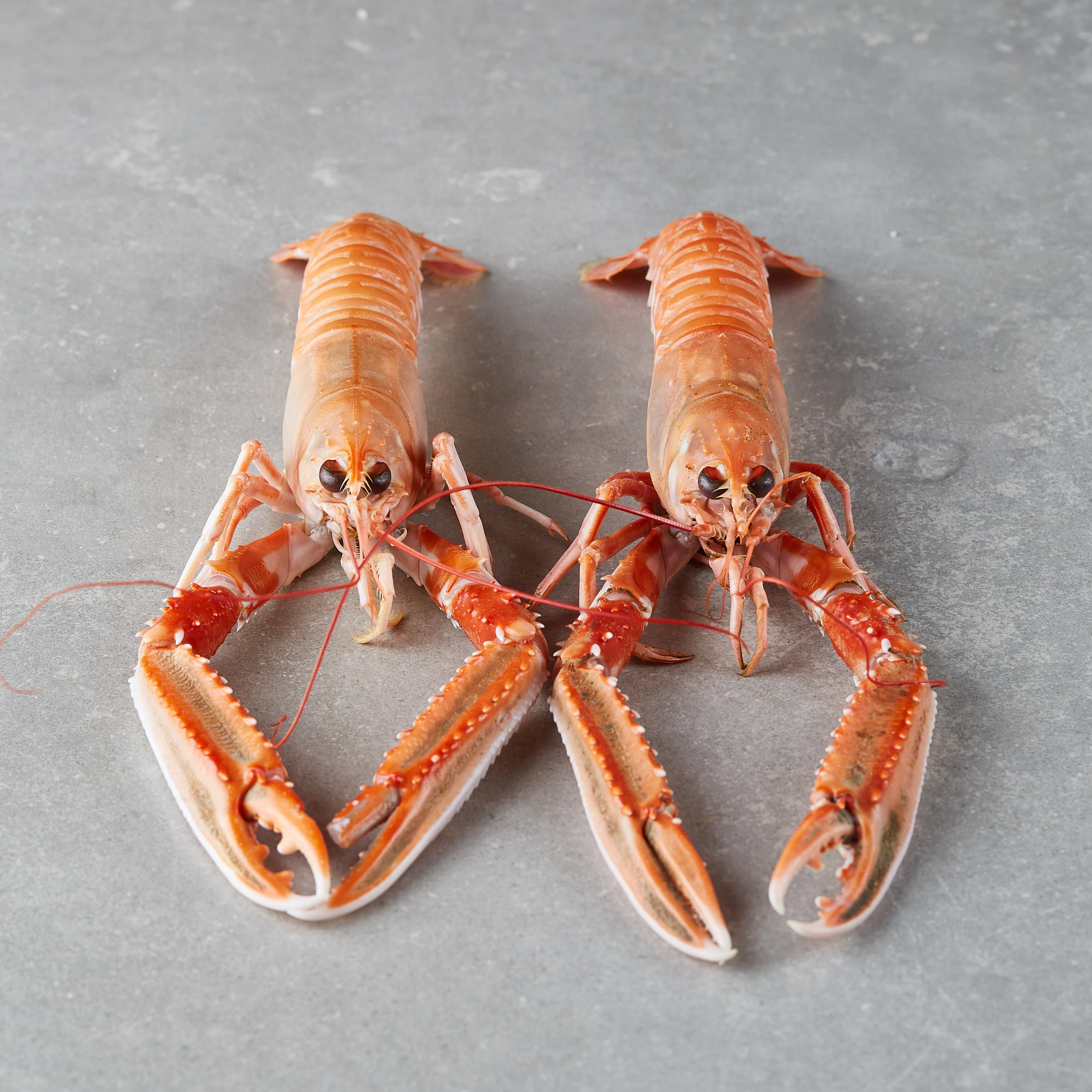 Sjøkreps, kokt. 4-7 pr kg