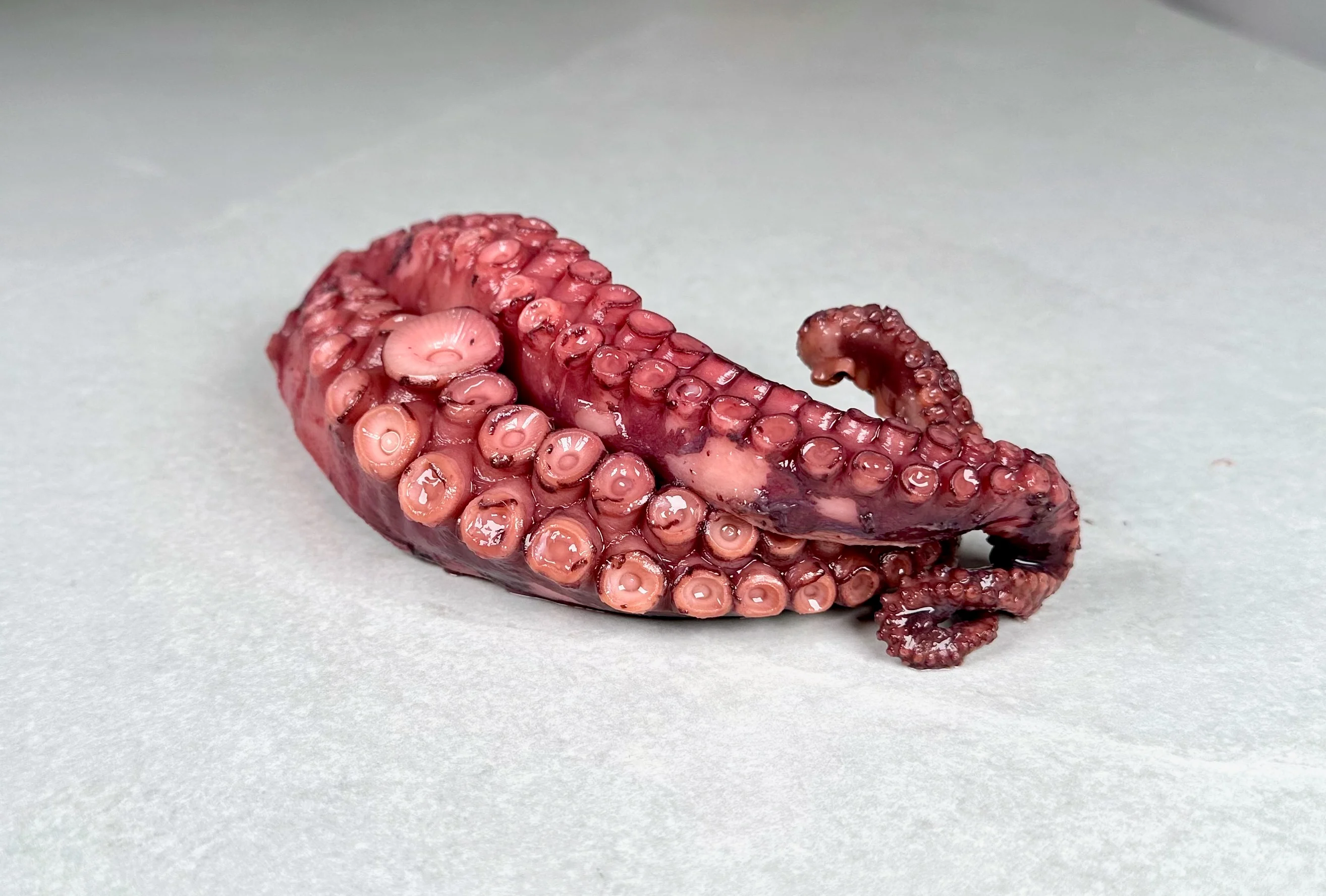 Blekksprut kokt, hjemmelaget. (Octopus)