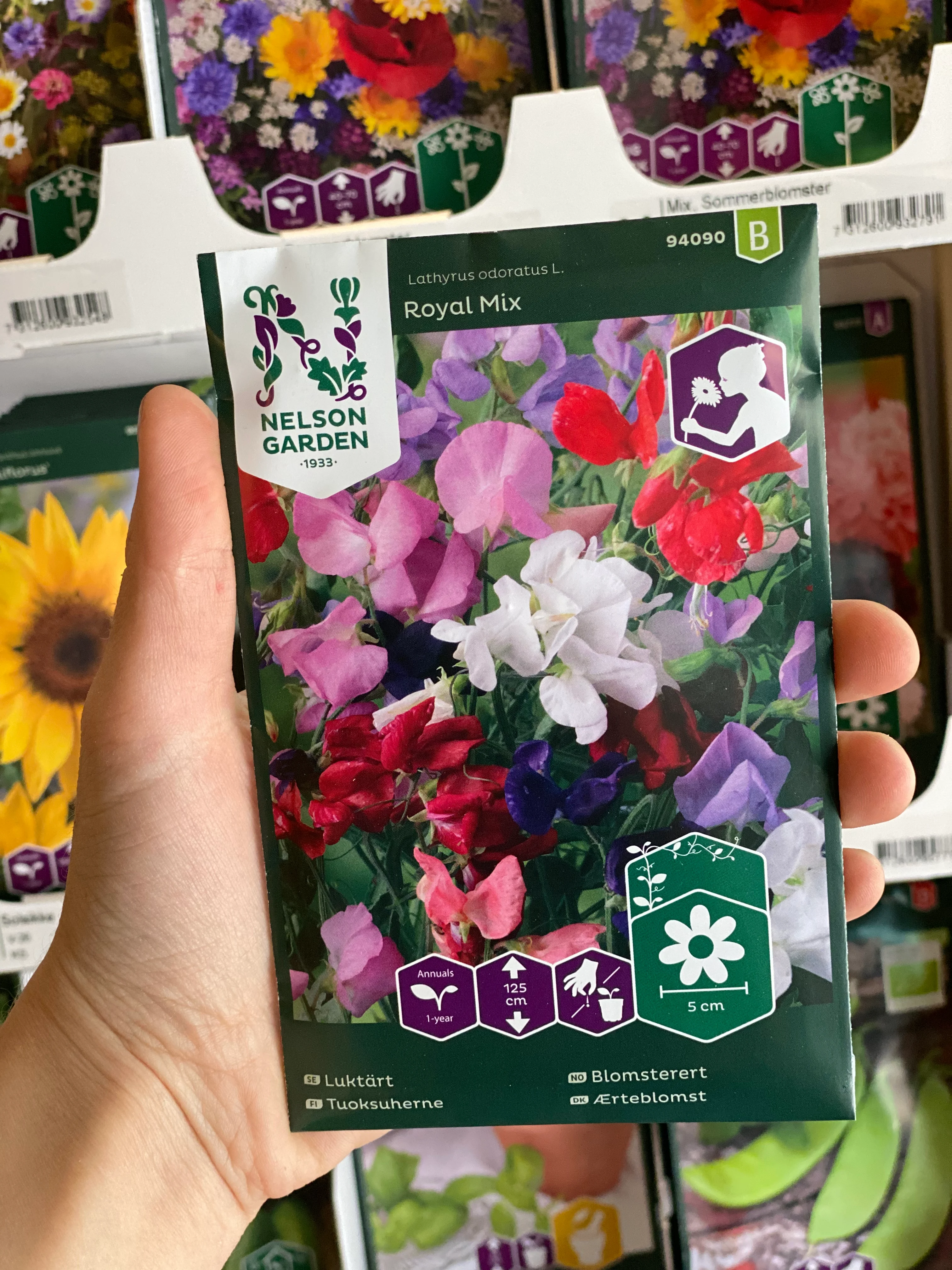 Erteblomst frø 🌱