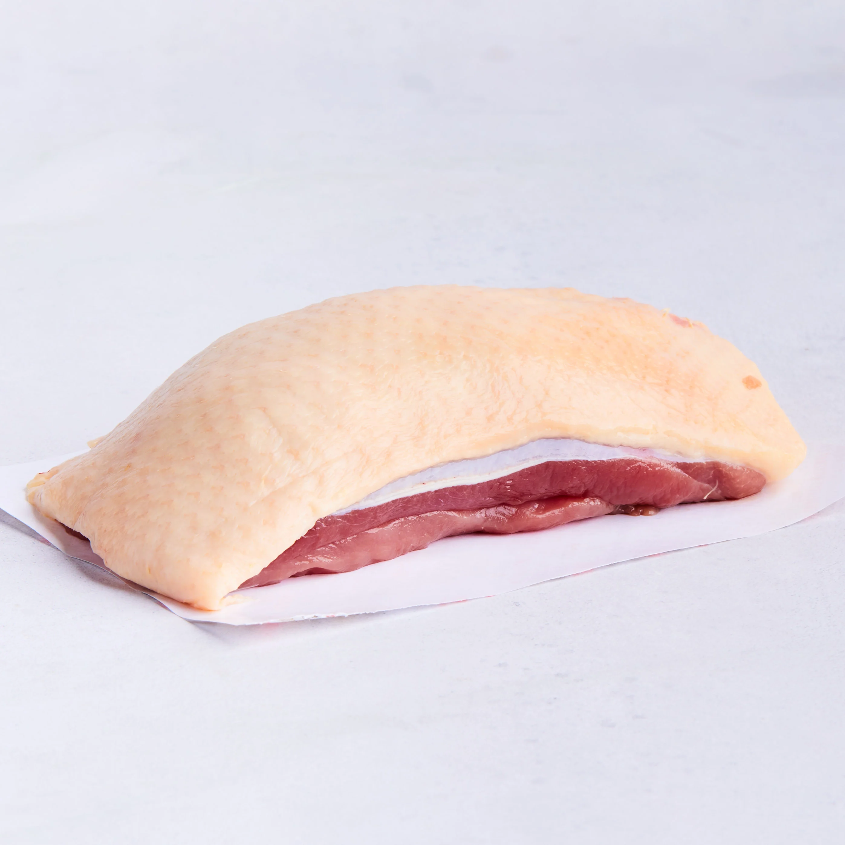 Andebryst fra Holte Gård