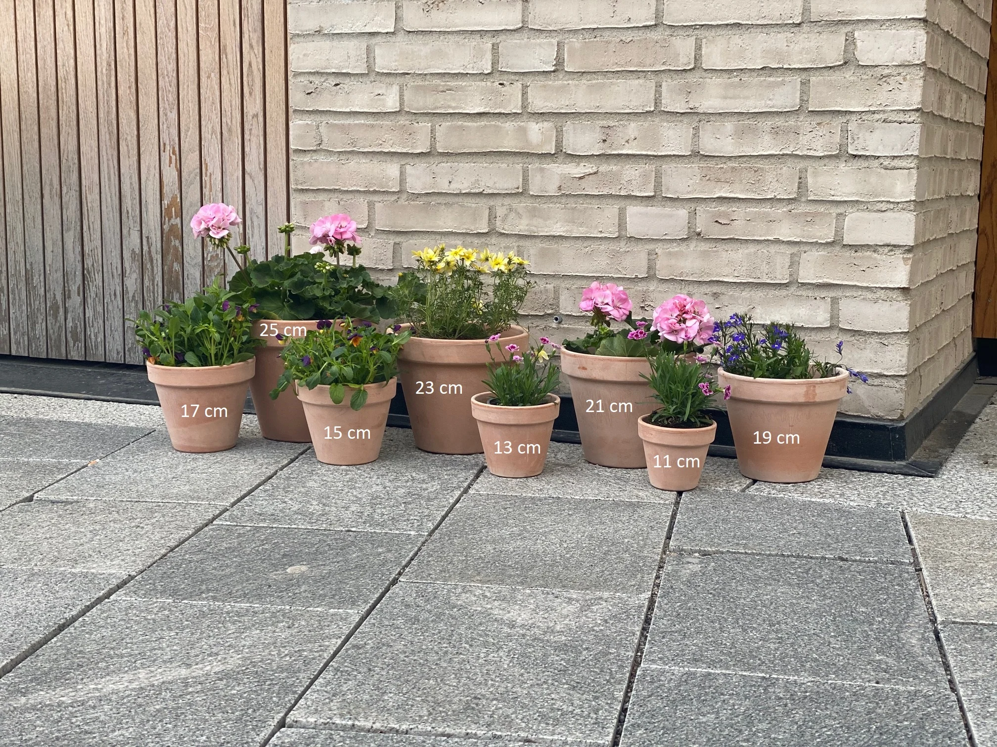 Terracotta potter 🌱