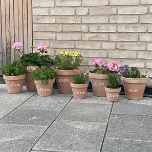 Terracotta potter 🌱