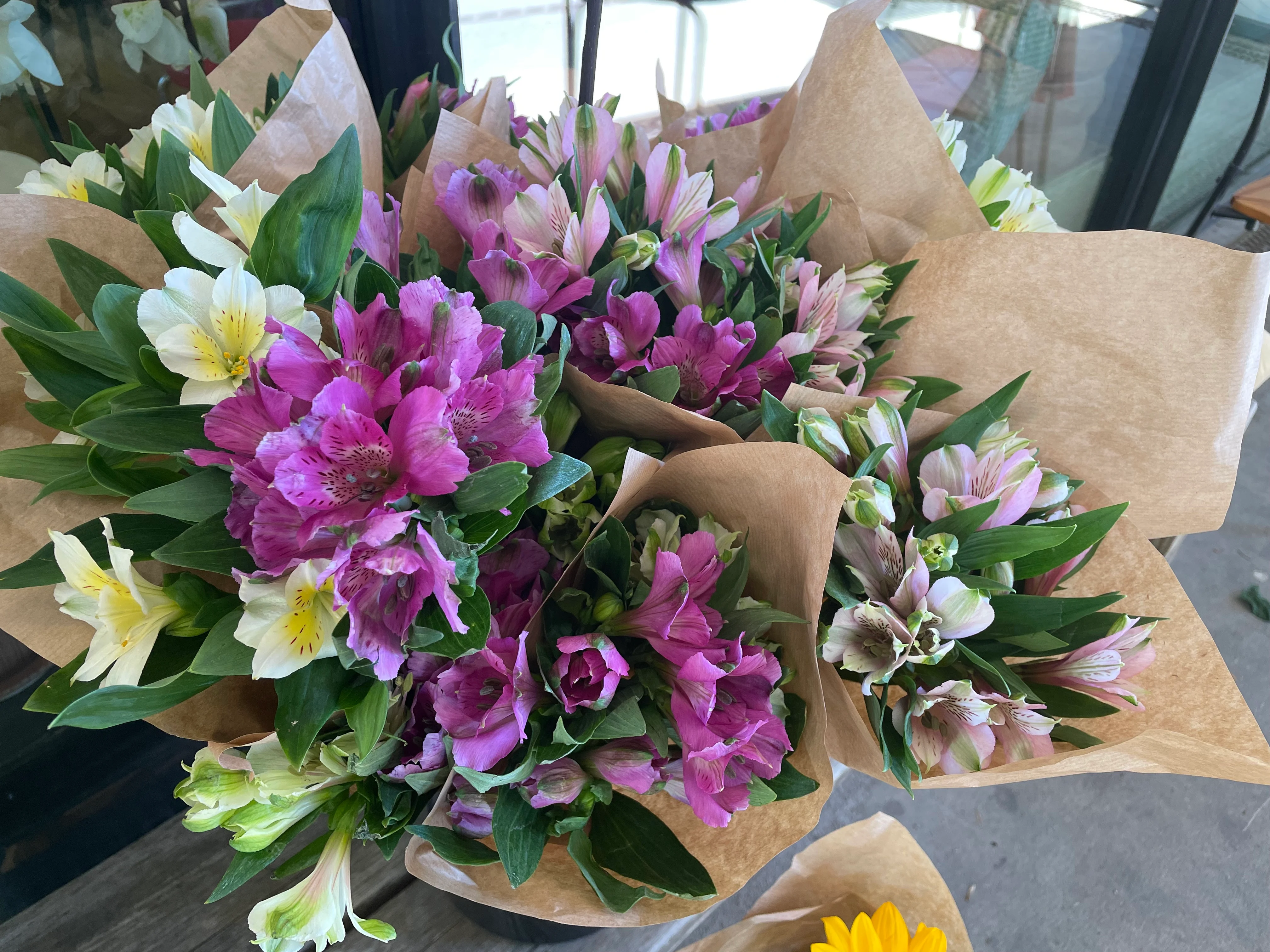 Inkaliljer (alstromeria)