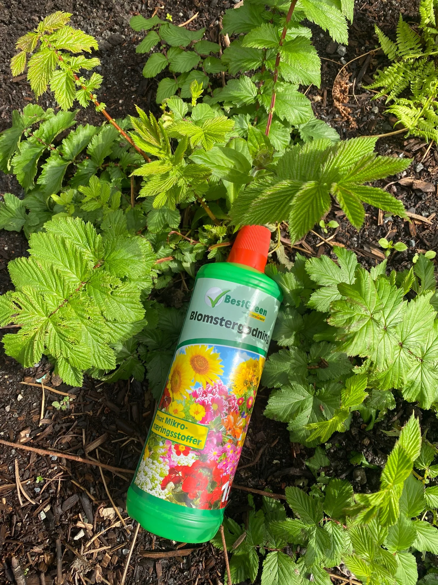 Plantenæring 💪🌱