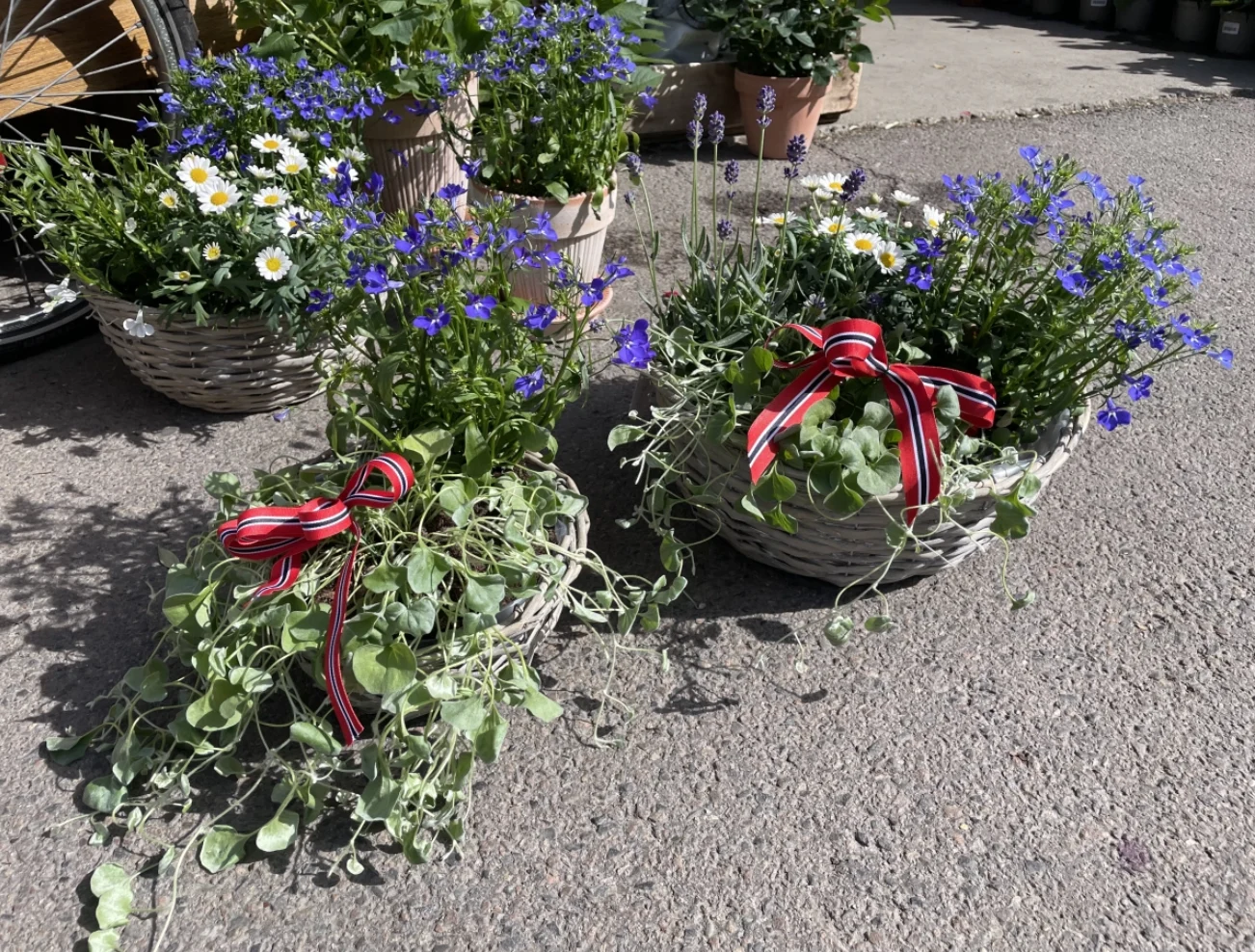 Blomster-kurv