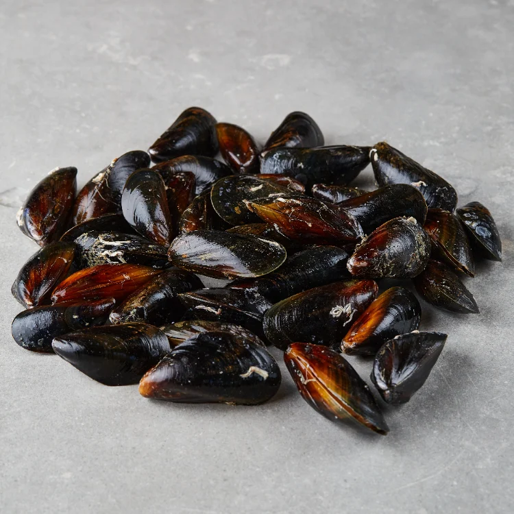 Blåskjell økologisk