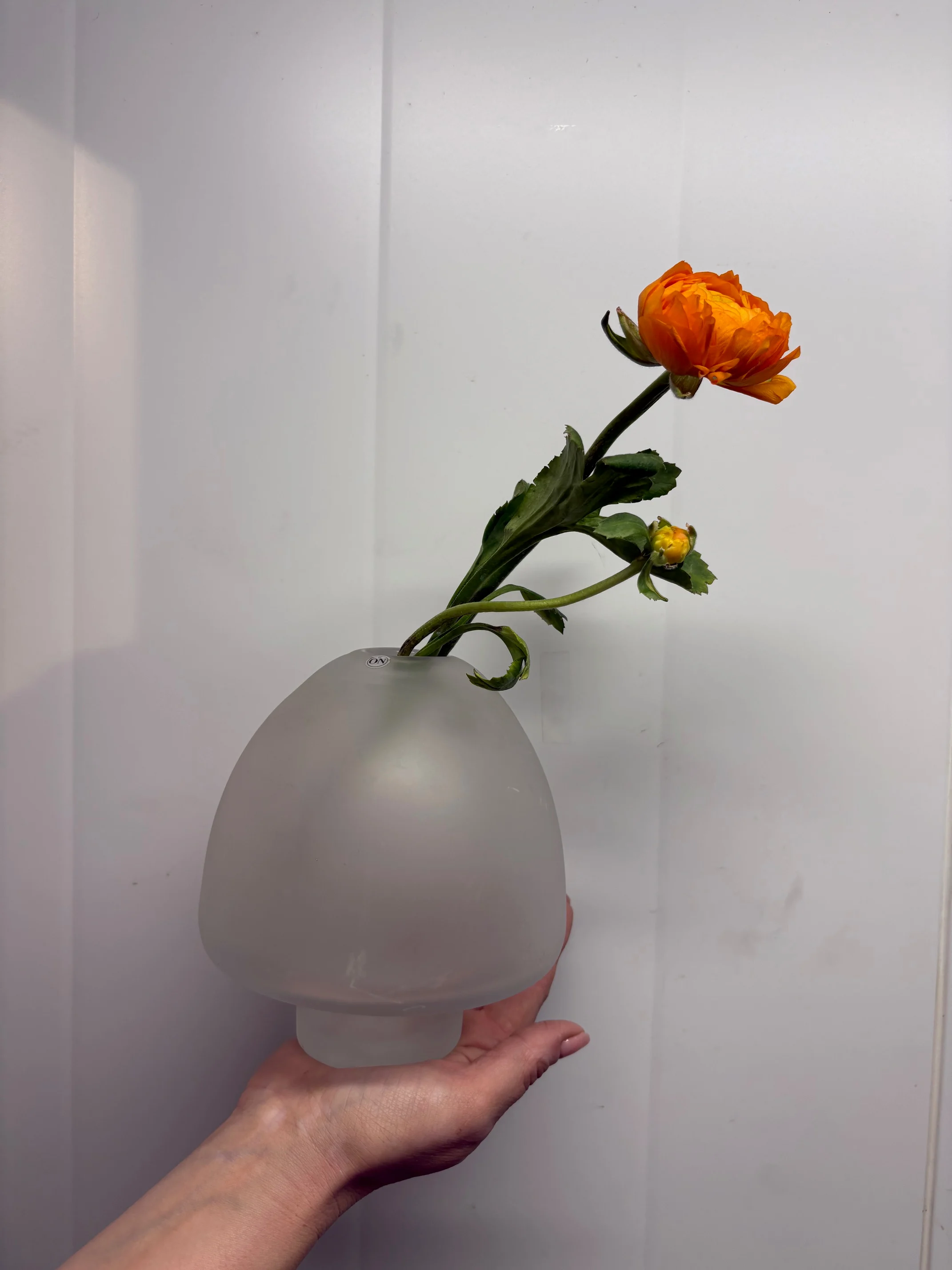 Glassvase